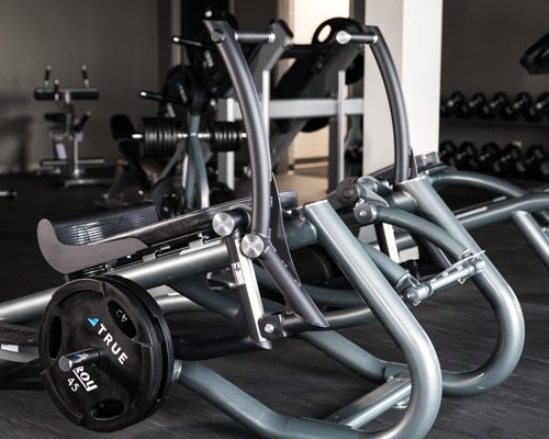 true fitness тренажеры