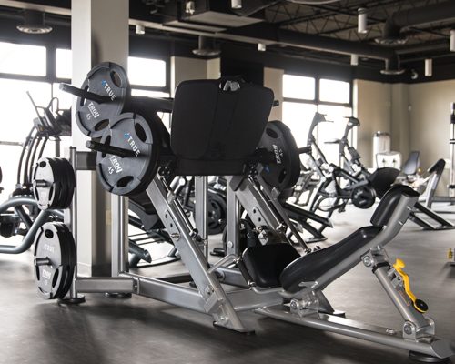 Тренажеры нагружаемые дисками TRUE FITNESS
