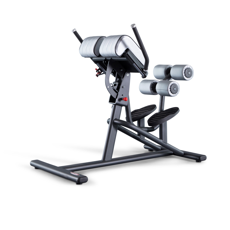 РЕГУЛИРУЕМАЯ ГИПЕРЭКСТЕНЗИЯ Panatta FIT EVO