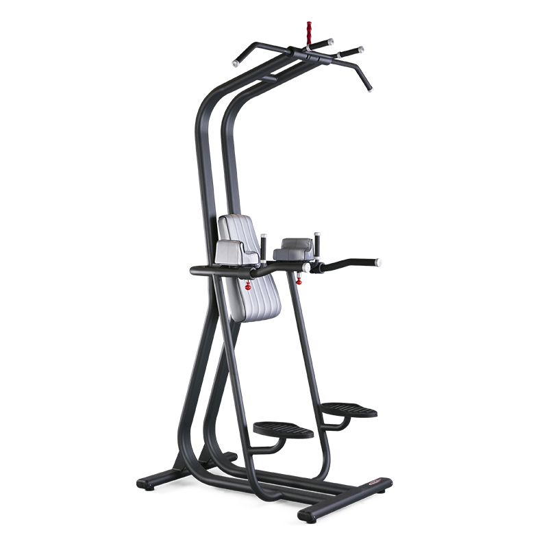 ПОДТЯГИВАНИЯ / ПРЕСС Panatta FIT EVO