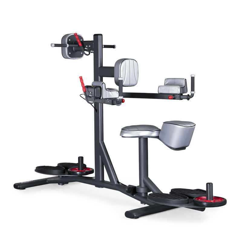 ВРАЩЕНИЕ ТОРСА СТОЯ И СИДЯ (СДВОЕННОЕ) Panatta FIT EVO