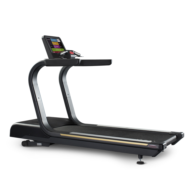 Беговая дорожка Panatta Fenix Touch