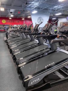 True Fitness alpine runner в фитнес-клубе