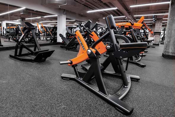 Neverest открыть спортзал площадью 200 м²