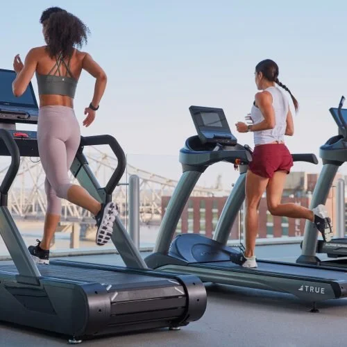 беговые дорожки true fitness