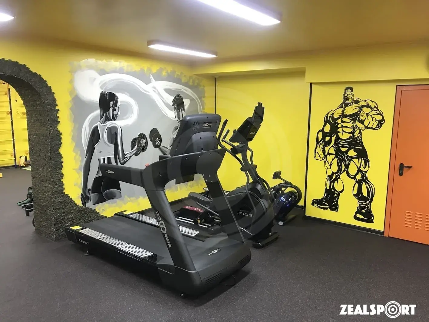 СПОРТЗАЛ В ЧАСТНОМ ДОМЕ 42м²