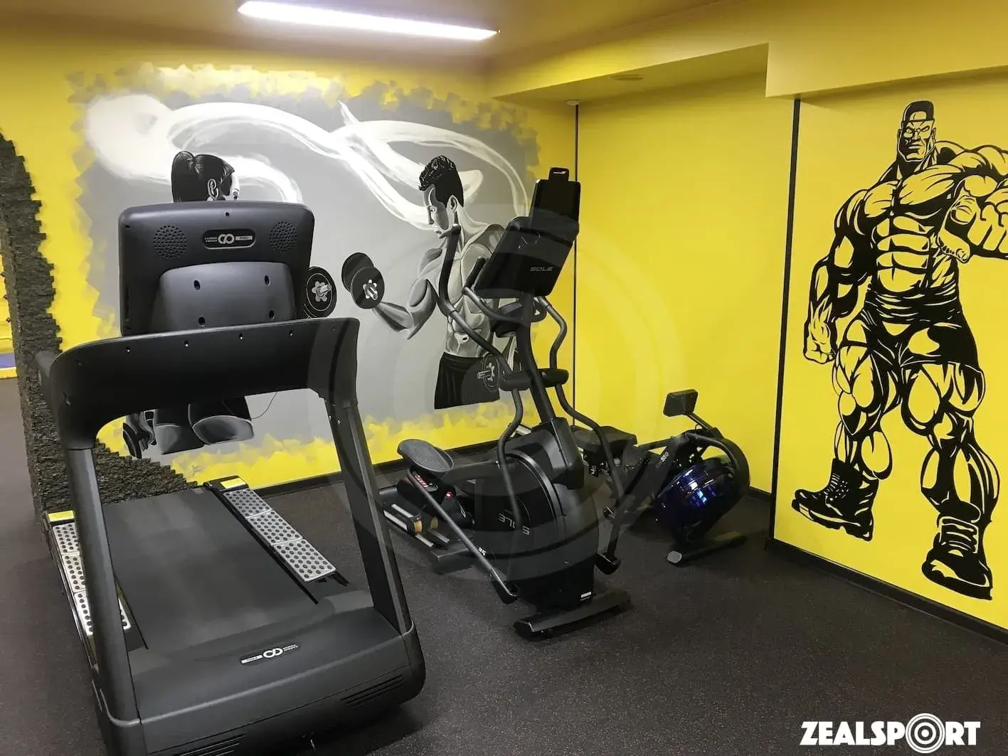 СПОРТЗАЛ В ЧАСТНОМ ДОМЕ 42м²