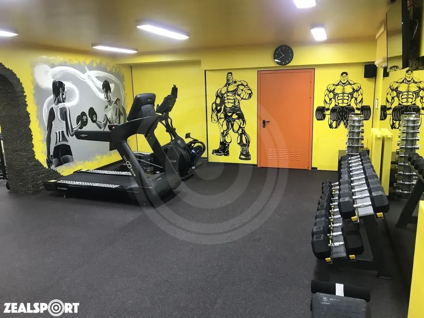 СПОРТЗАЛ В ЧАСТНОМ ДОМЕ 42м²
