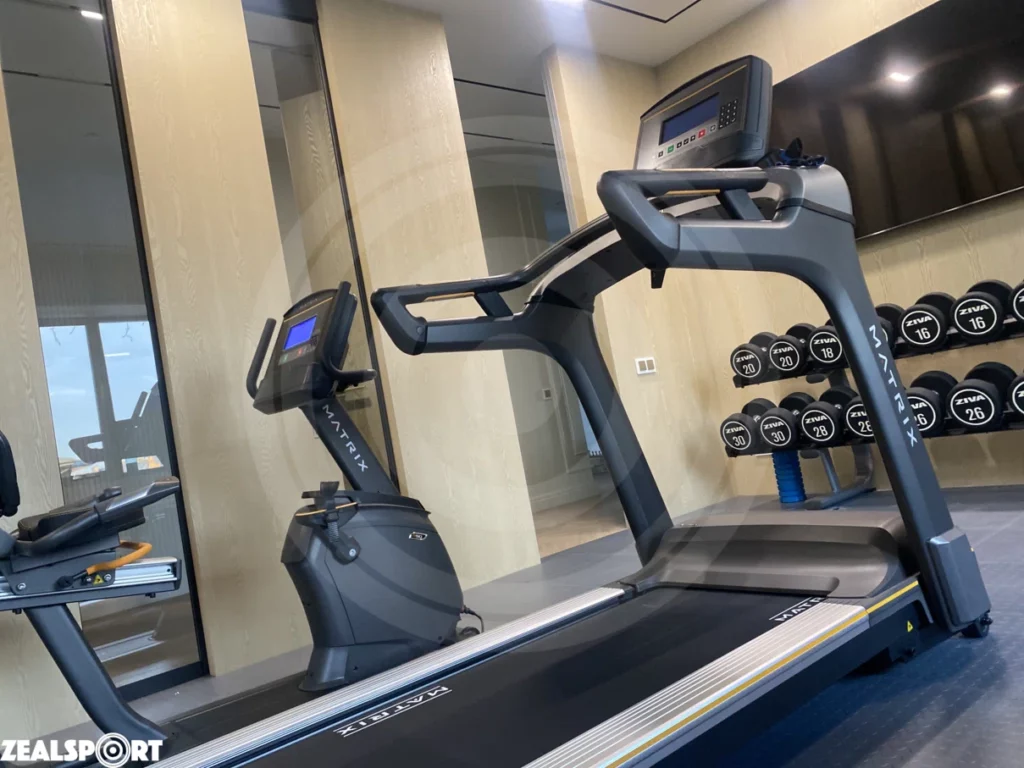 Кардиотренажеры Matrix Fitness в домашнем спортзале 21 кв.м
